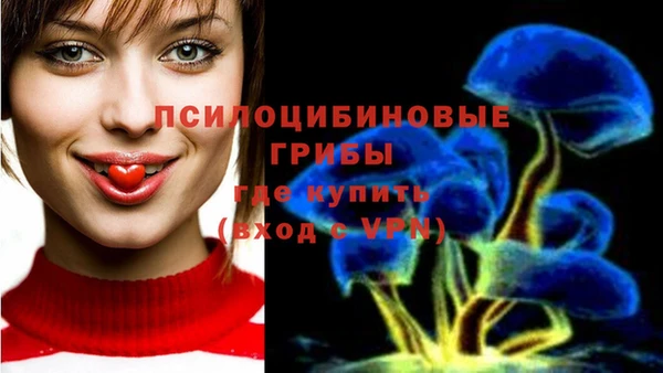 MESCALINE Богданович