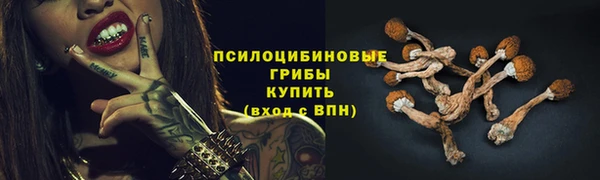 сатива Бородино
