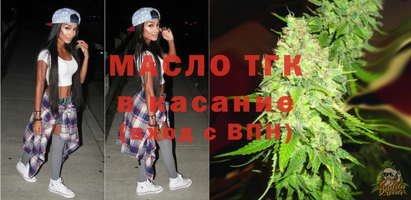 сатива Бородино
