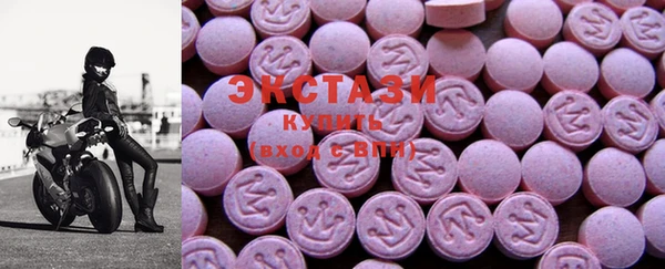 сатива Бородино