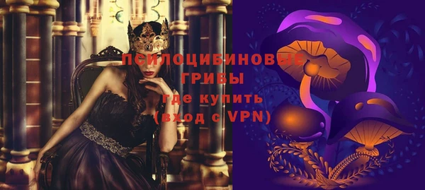 таблы Богородск