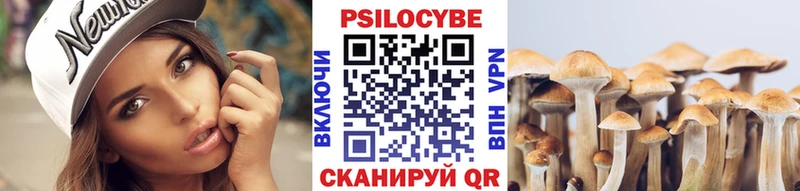 Псилоцибиновые грибы мицелий  магазин продажи   Катав-Ивановск 